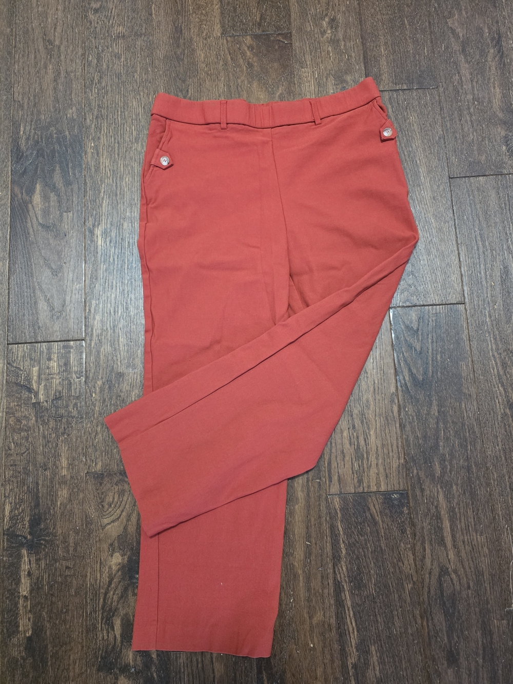 Cropped Ankle Pants in Rust Red